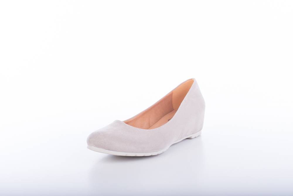 Jiudit Art.2303 Presa