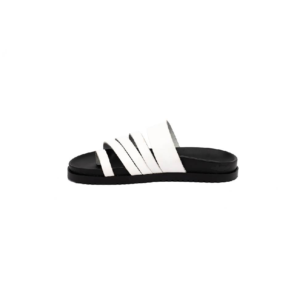 J.P. David Sirocco Promozione