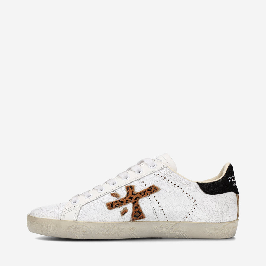 Premiata STEVEND 6660 Nuovi prodotti