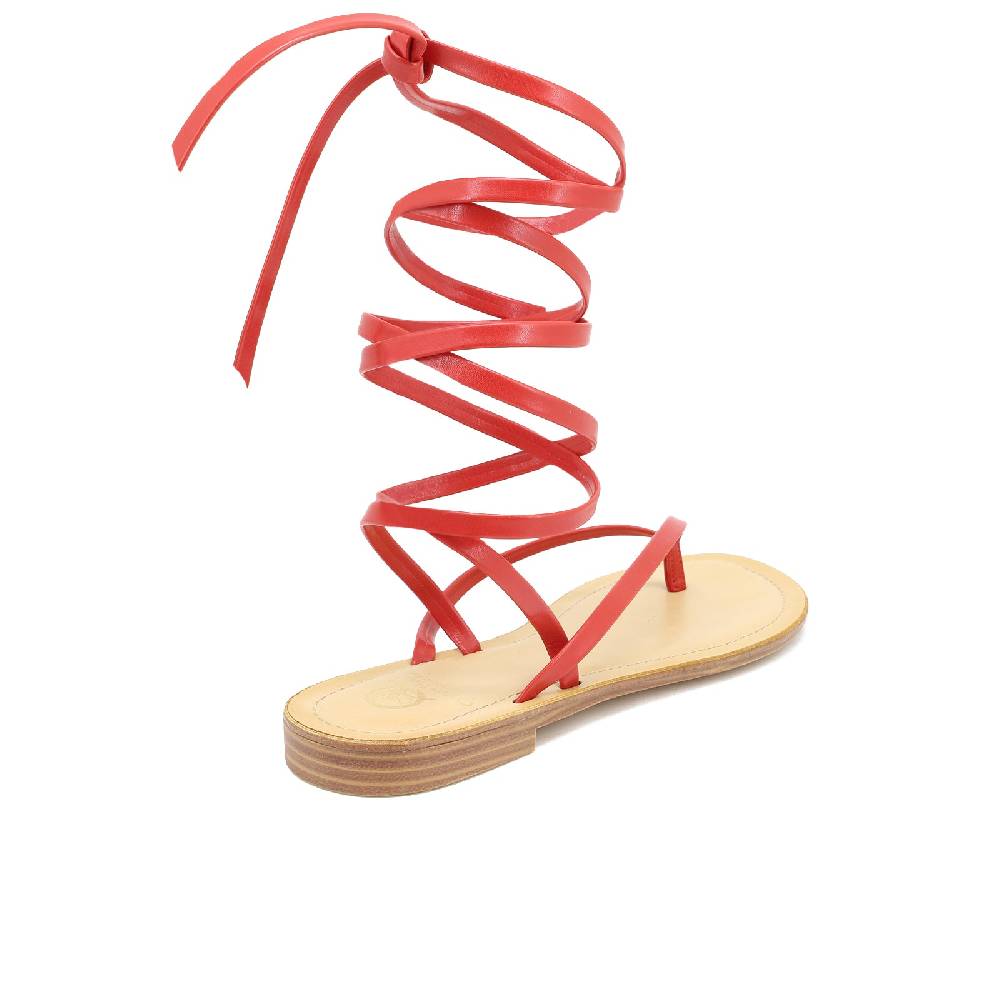 Queen Helena Sandali gladiator - Domitilla Sconto