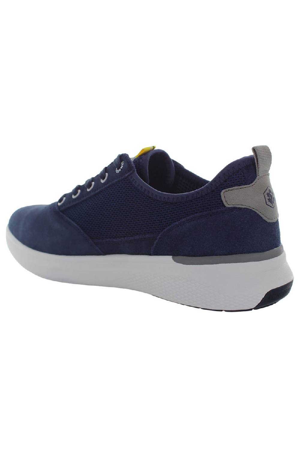 LumberJack NEIL SNEAKER UOMO Online