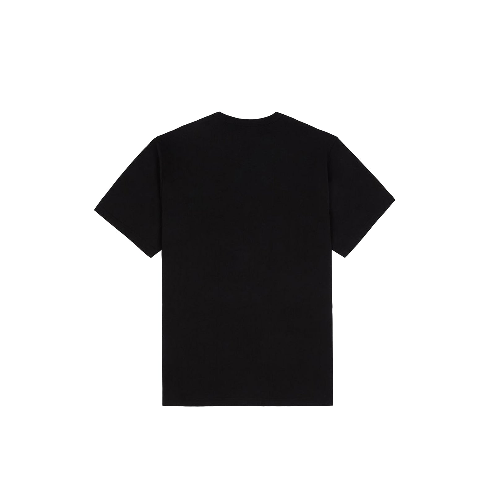 Dickies Aitkin Tee I Più Venduti