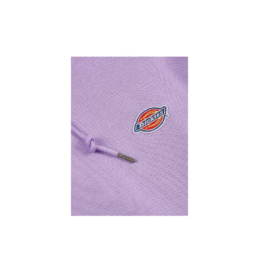 Dickies Millersburg Hoodie Novità
